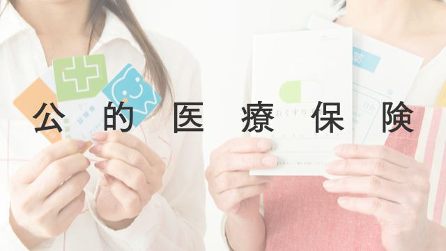 公的医療保険